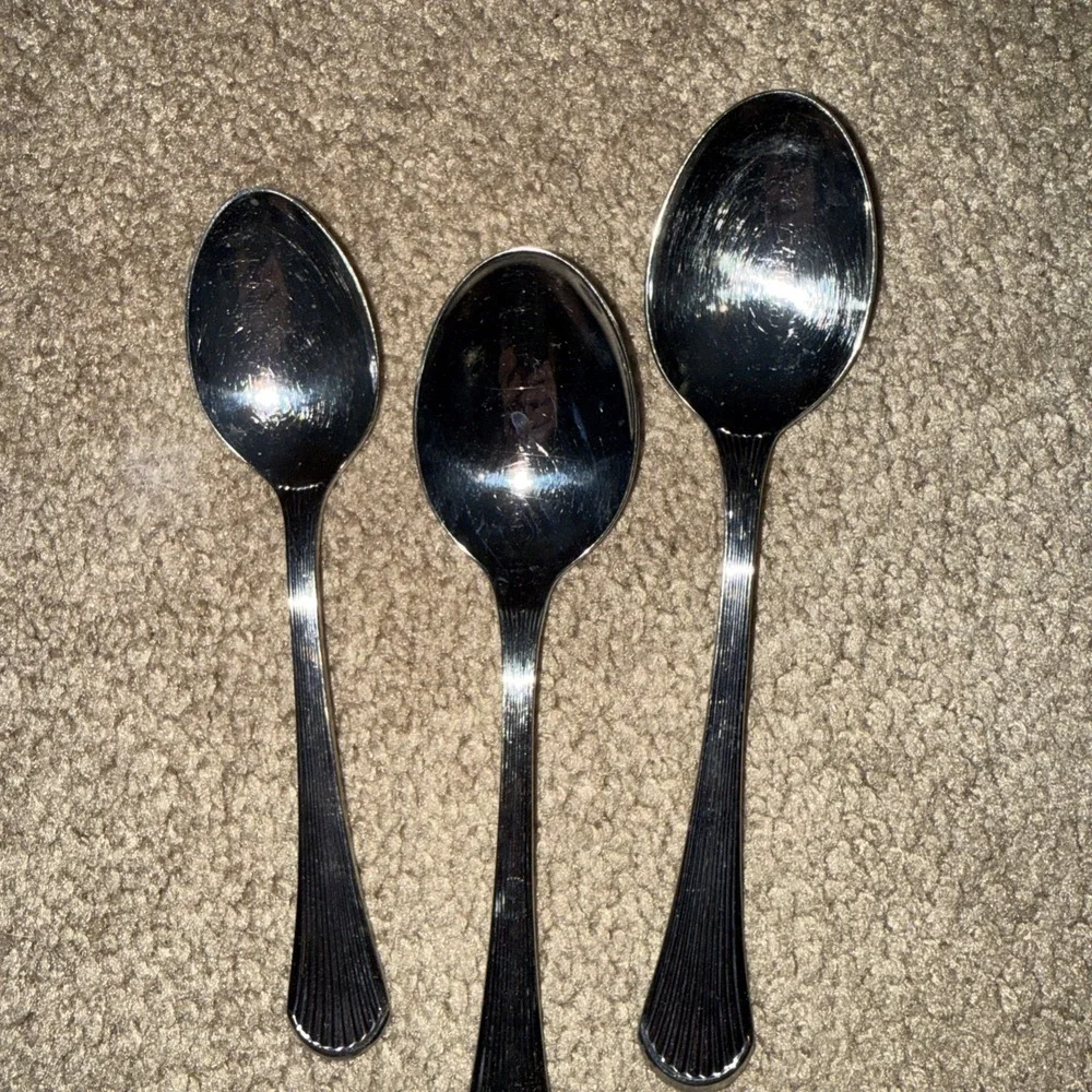 Carico Manet Stainless soup Spoons  3